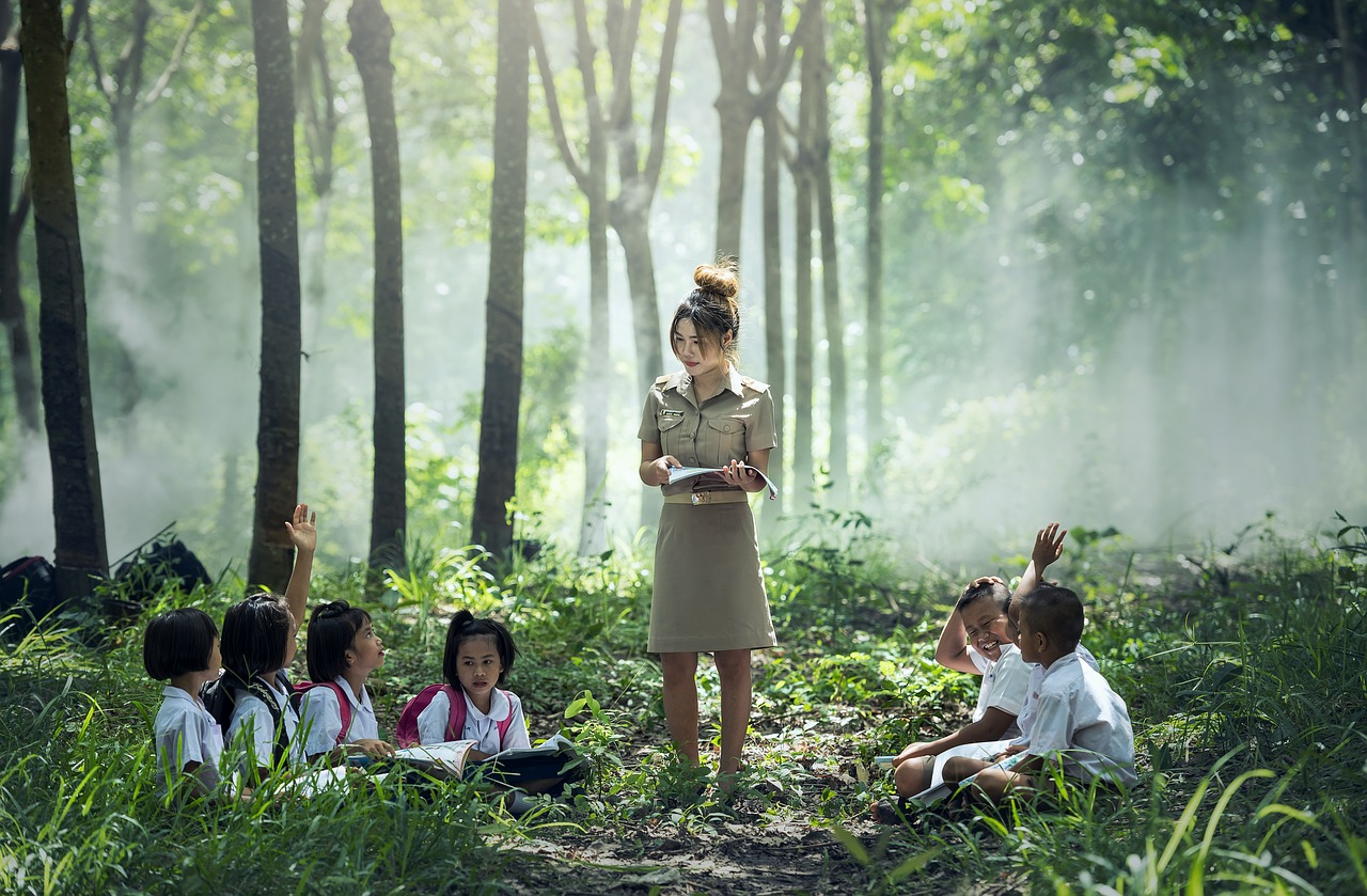 apprendre avec plaisir dans la forêt